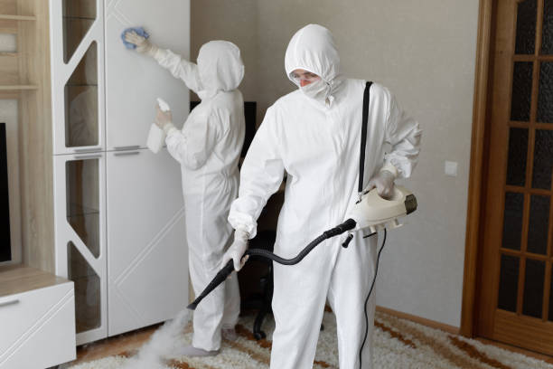 Woodbridge, VA Mold Removal Company